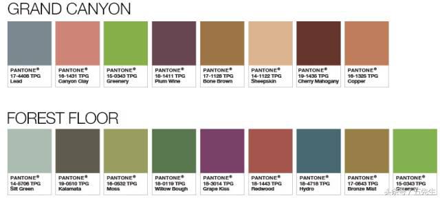 pantone公布2018年流行色彩预测,pantone公布的2019年度色彩是