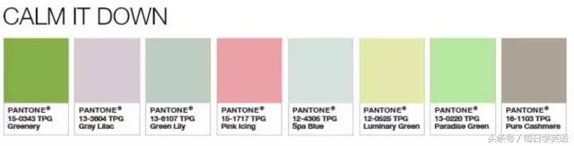 2017年的流行色草木绿,今年流行色薄荷绿