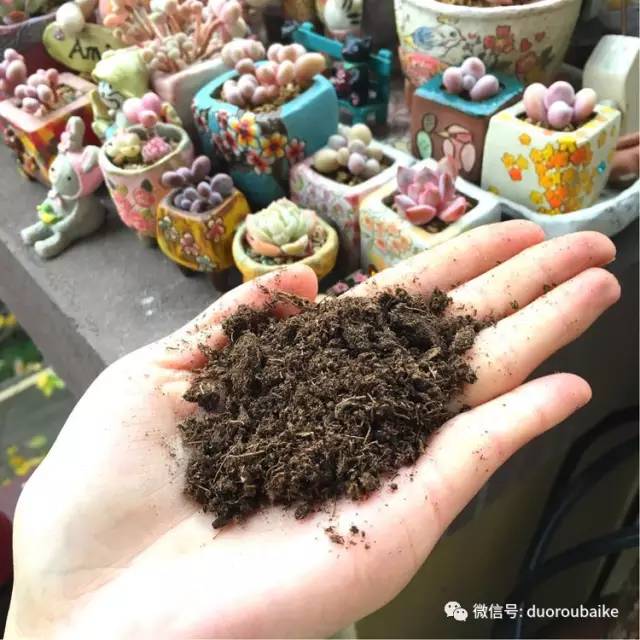 太实用了!图解多肉的配土及用药!