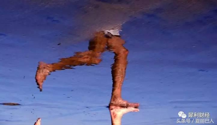 云盘市场前景,个人云盘前景