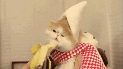 在家自制10款香蕉美食料理,香蕉料理的做法大全