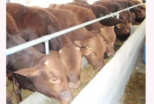 中年妇女转行年赚100万,这次重新创业能有收获吗