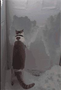 天太晚了，你要不就在这过夜吧