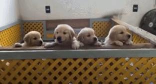 怎么在女朋友家赖着不走,女朋友赖在家里不走怎么办