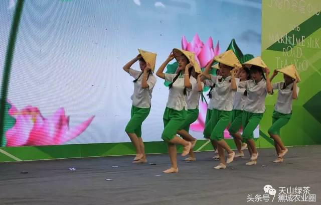 绿茶赏茶表演,福鼎白茶茶艺表演