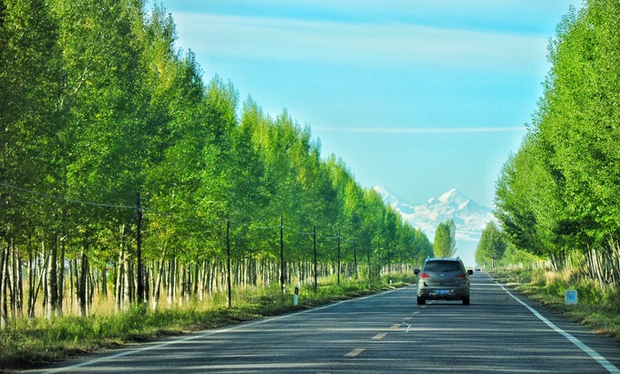 入疆旅行的风景,南北疆大环线旅游风景