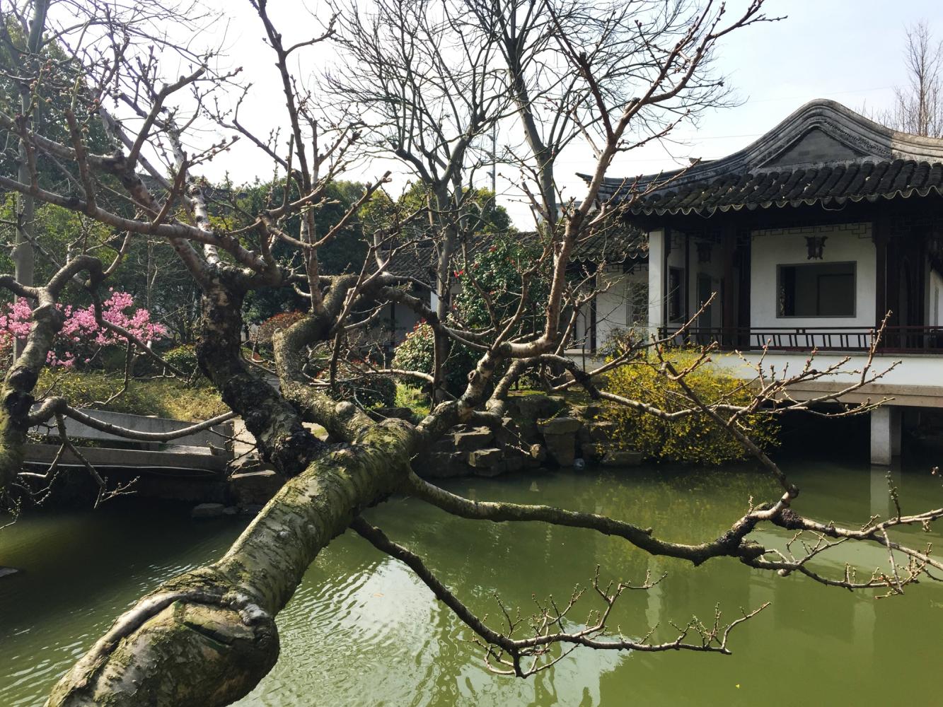 澶粨鍗楀洯鍘嗗彶鑳屾櫙,鍥捐澶粨鍘嗗彶