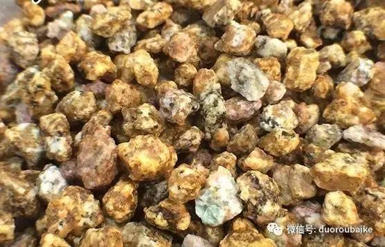 麦饭石颗粒真假,真假黄金麦饭石颗粒