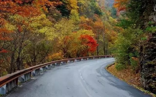 神农架自然保护区旅游攻略,神农架秘境演出值得看吗