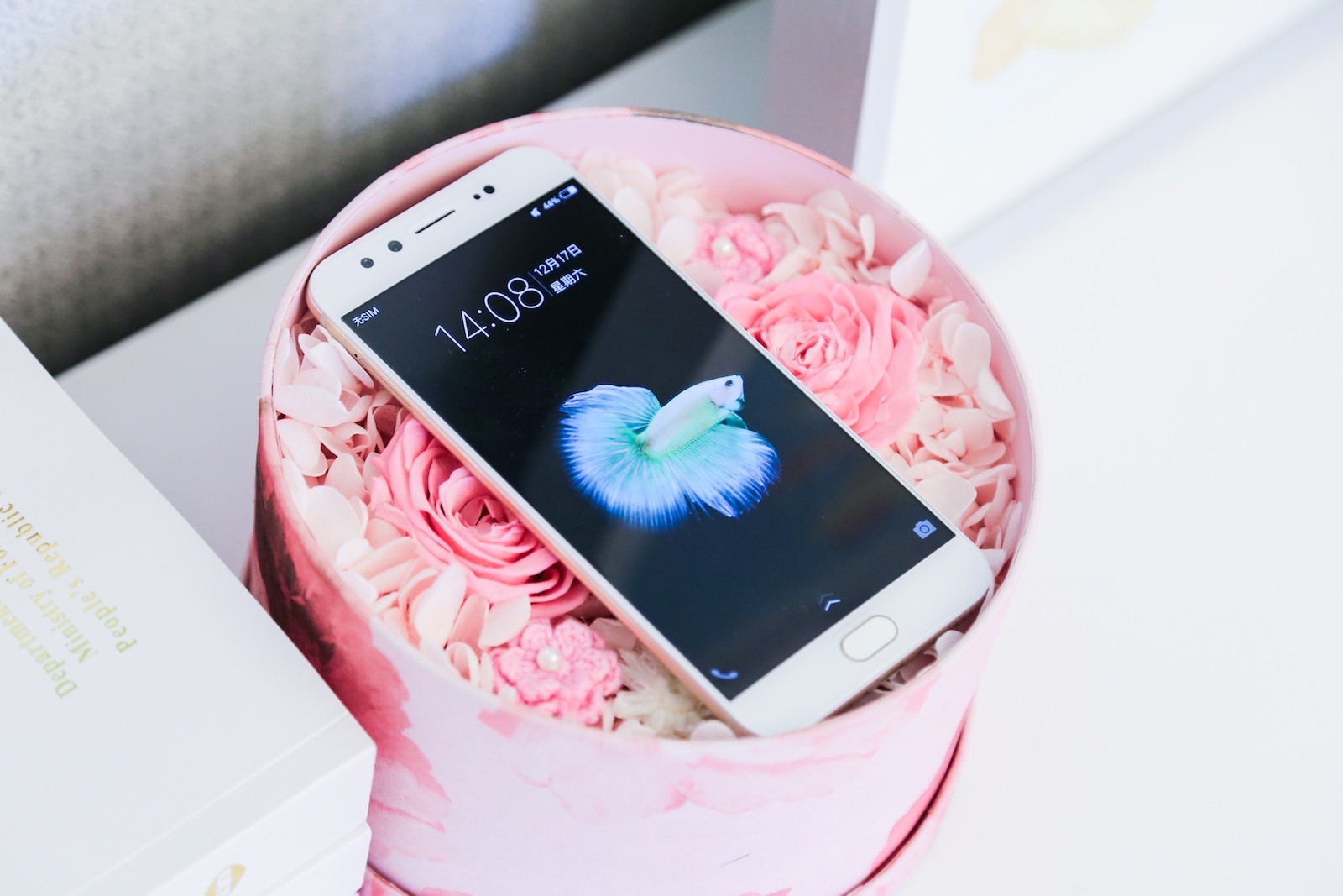 vivox90自拍美颜效果怎样调,vivox9最新发布