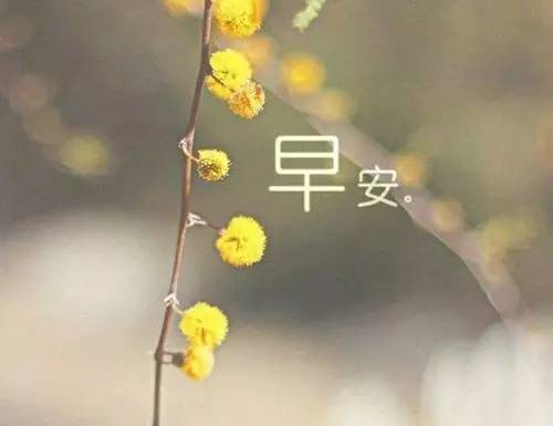 早安问候语给女生幽默,早安问候语幽默风趣句子