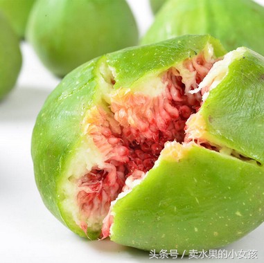 每一棵无花果里都有一只小黄蜂,每一个无花果里都有一个苍蝇