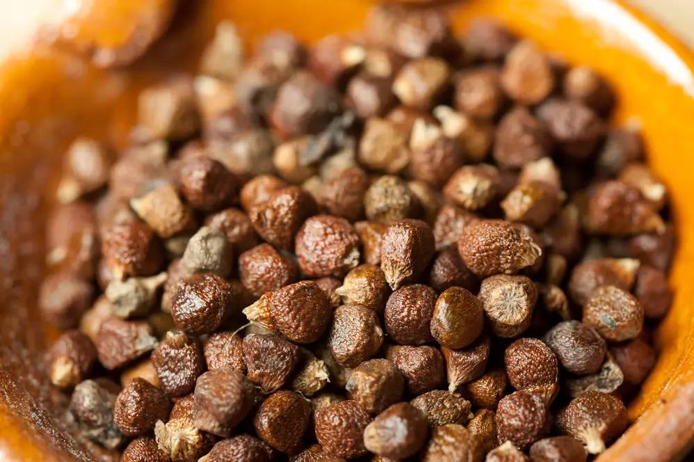 金酒就是松子酒吗,金酒是香槟吗