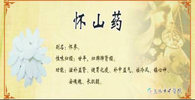 山药进补吗,滋补圣品山药食疗法