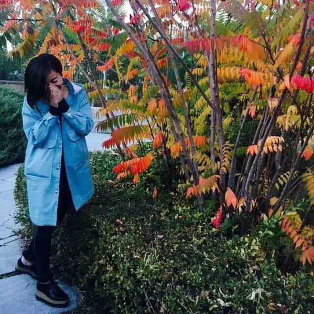 重磅｜只有如此理直气壮的买买买，才配得上即将过去的2016