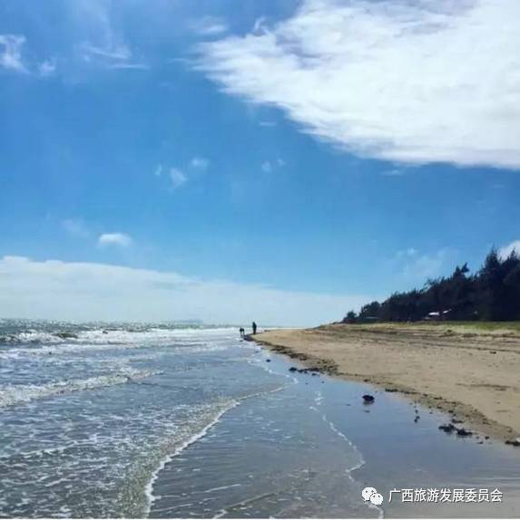 最全攻略实测揭秘不看后悔,攻略超详细