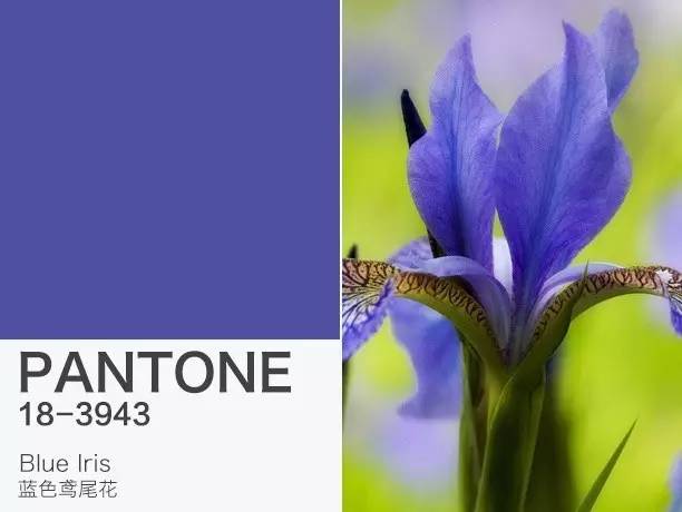 潘通色是彩虹色吗,潘通色卡今年流行色