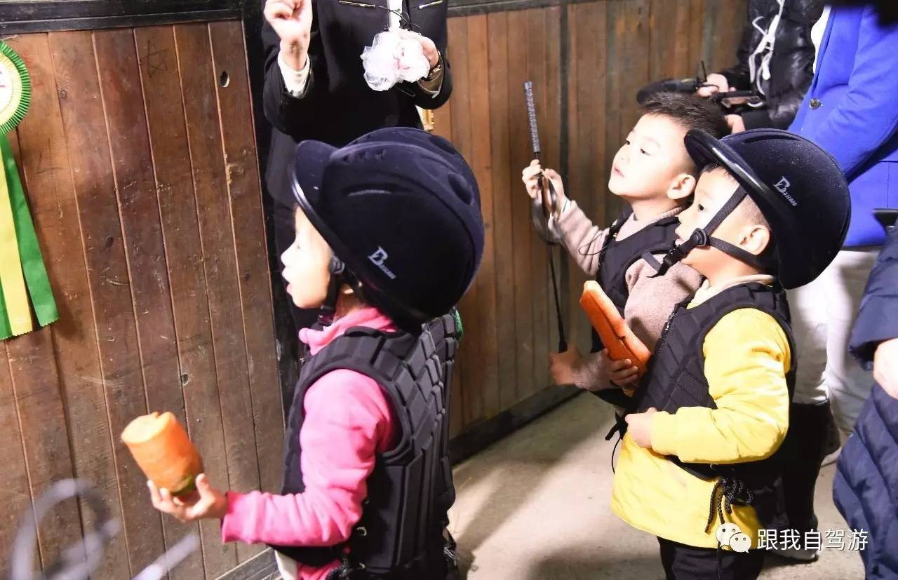 日产贵士mpv试驾视频,mpv日产贵士