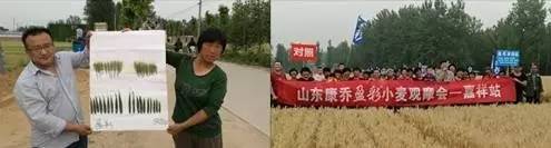 今日优品品牌零食,今日优品个体店