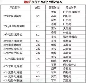 今日优品品牌零食,今日优品个体店