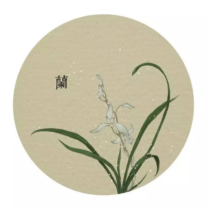 梅兰竹菊文化意象分别是指什么,梅兰竹菊之兰的意象与中国精神