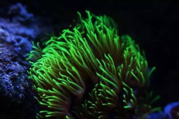 玩的真溜,三千玩出了三万的水平!