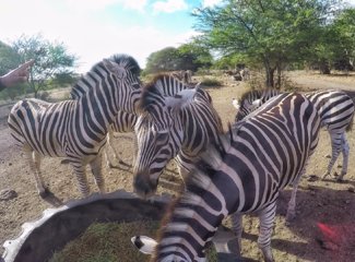 毛里求斯个人集锦,毛里求斯全部记录