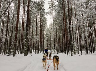 北欧挪威之旅合集,冬季北欧四国游