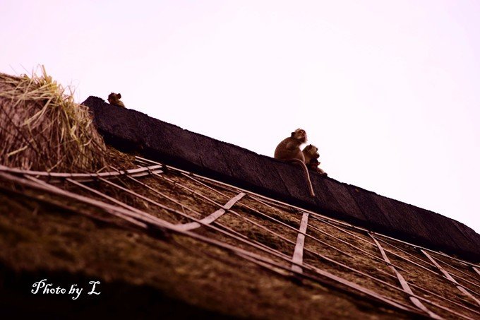 hina和hiro谈了多久,hina和hime住在一起吗