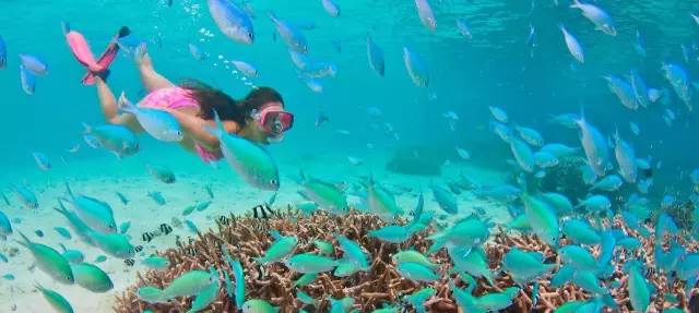 独家包机飞关岛？！这种好事怎么能错过！