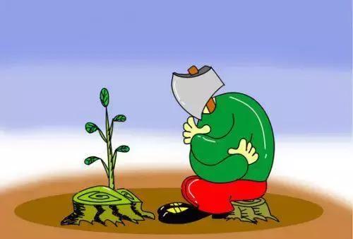 十几万可以买到什么平行进口车,平行进口车可以买到哪些车