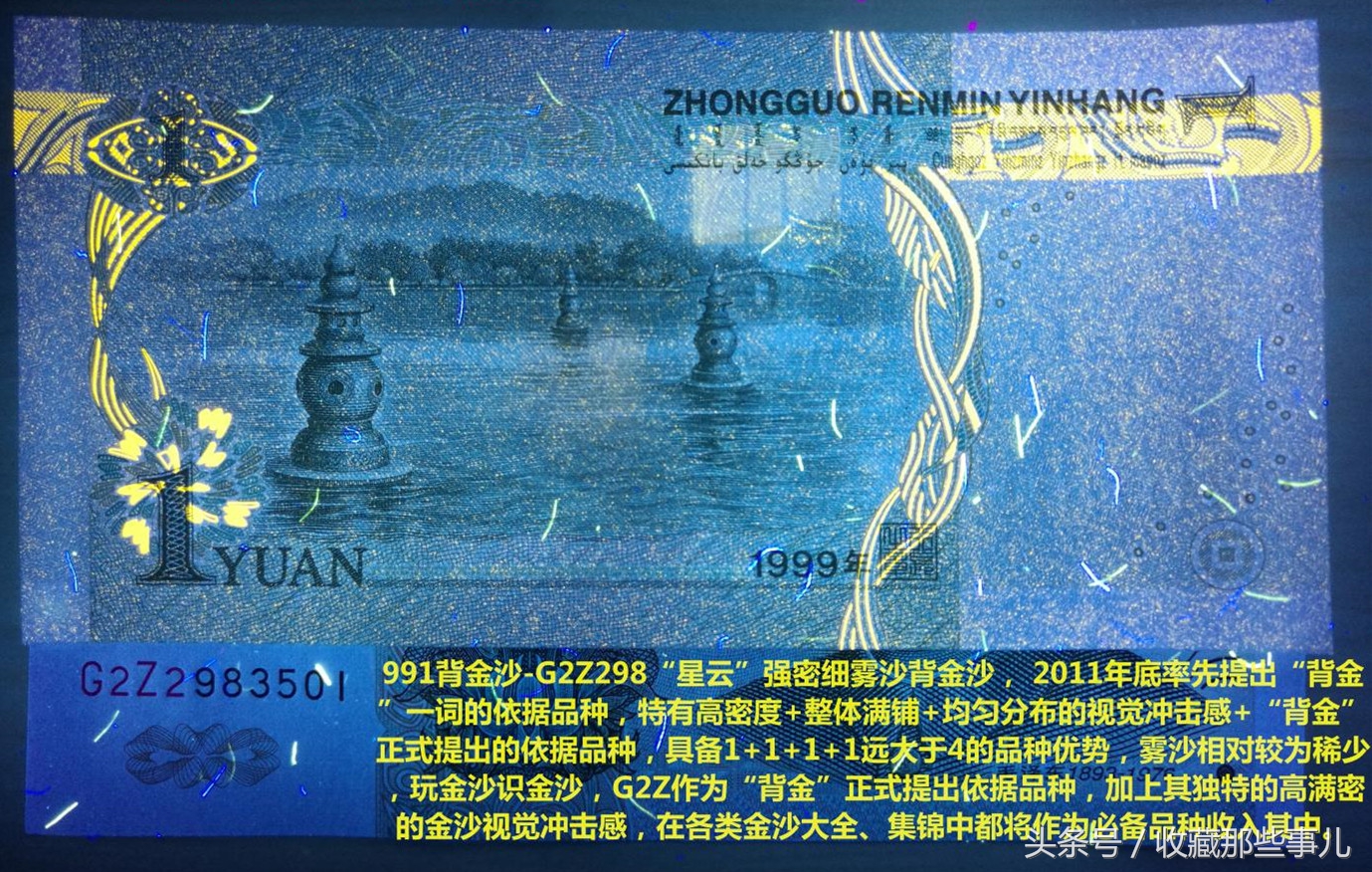 991背金沙荧光币,991荧光品种