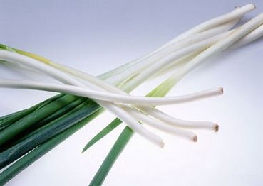 慢性鼻炎流清水鼻涕小妙招,慢性鼻炎怎么治疗才能除根呀