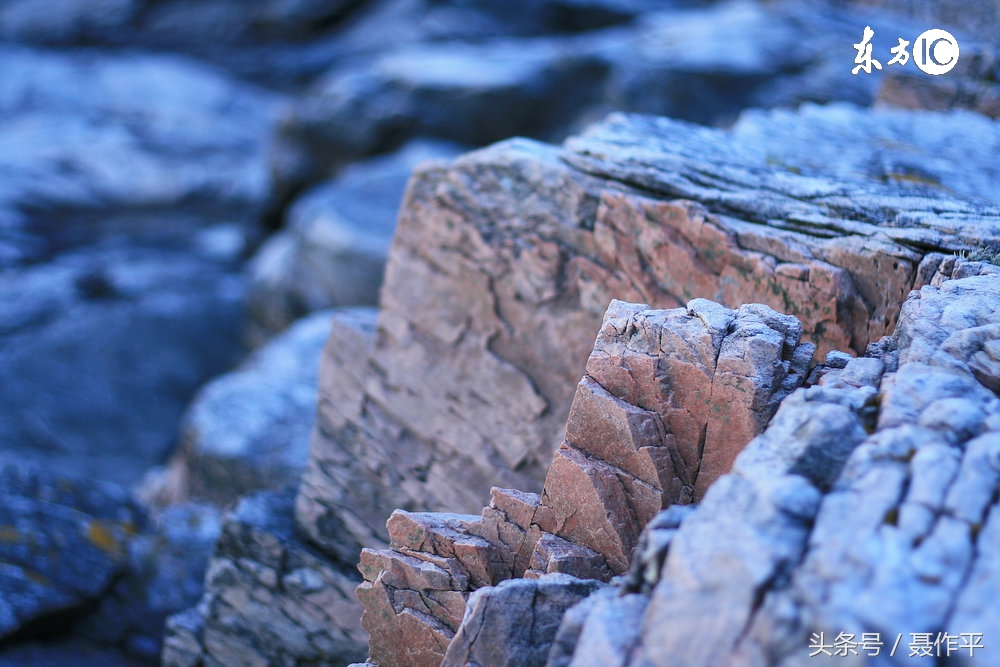 魏忠贤阉党和东林党人之争,魏忠贤阉党