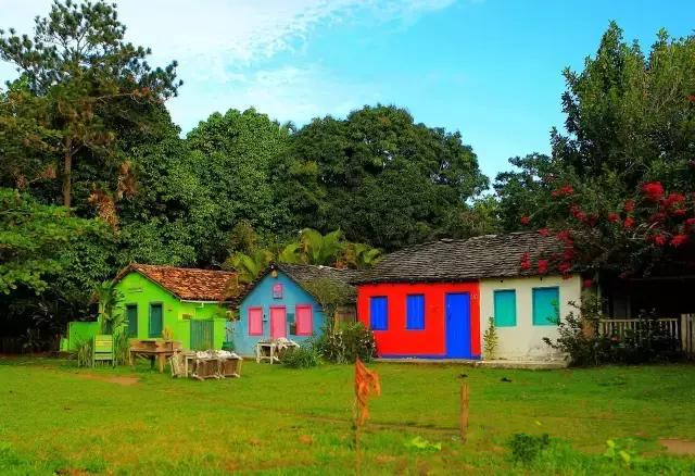 巴西这么强为啥还会输呢,巴西到底乱不乱