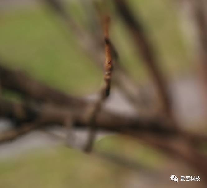 vivox9s浣撻獙,vivos12璇勬祴