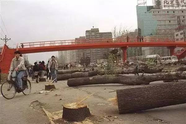 中国最大的村是哪里,中国最大的村是什么村