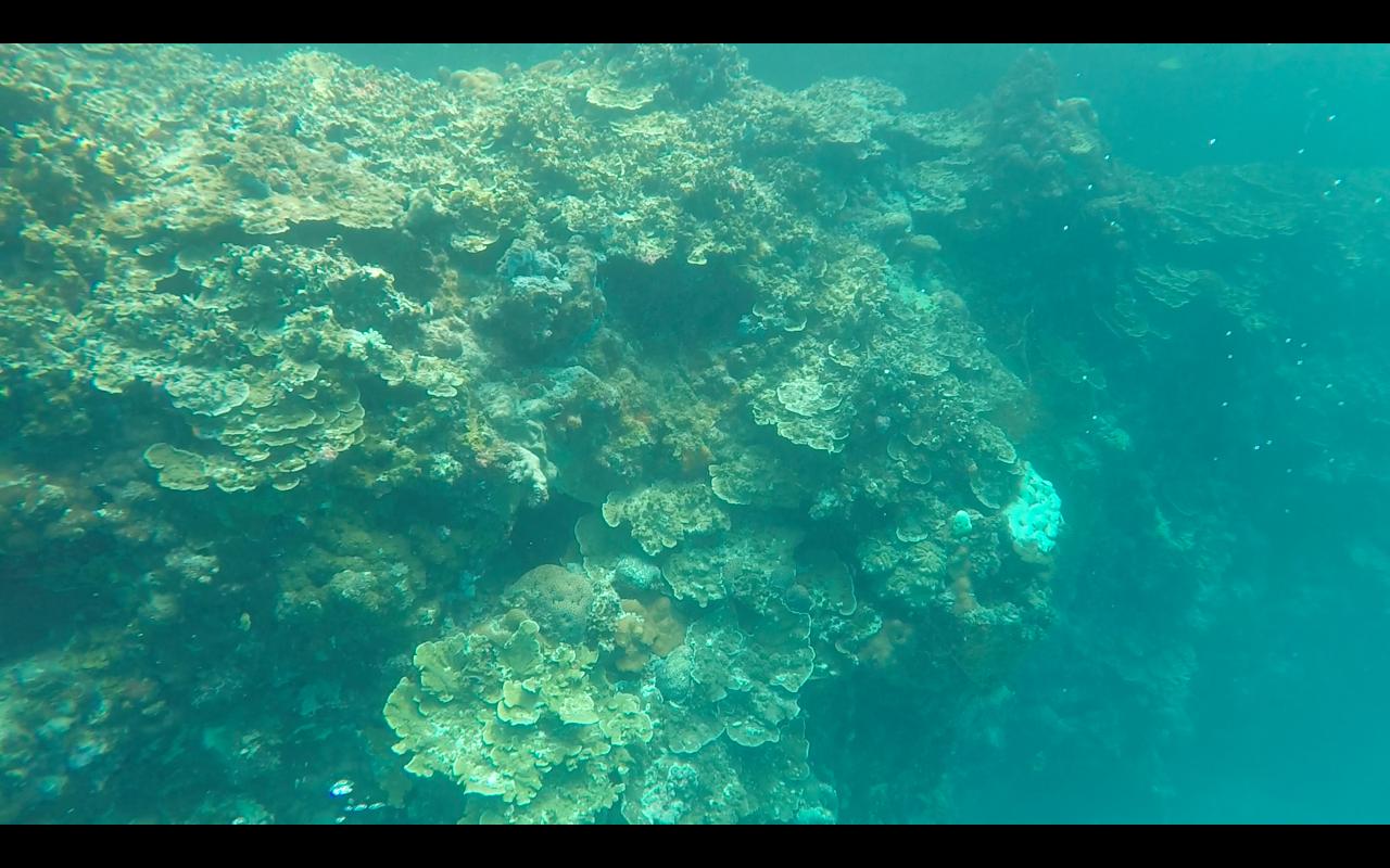 帕劳旅行攻略大全图文,帕劳旅行攻略图文大全