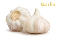 apple苹果的英语是什么,苹果的英语为什么是anapple