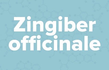 apple苹果的英语是什么,苹果的英语为什么是anapple