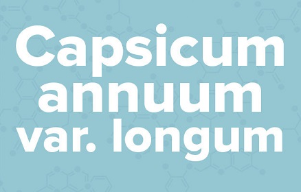 苹果的英文不是apple,苹果的英文发音是apple还是apple