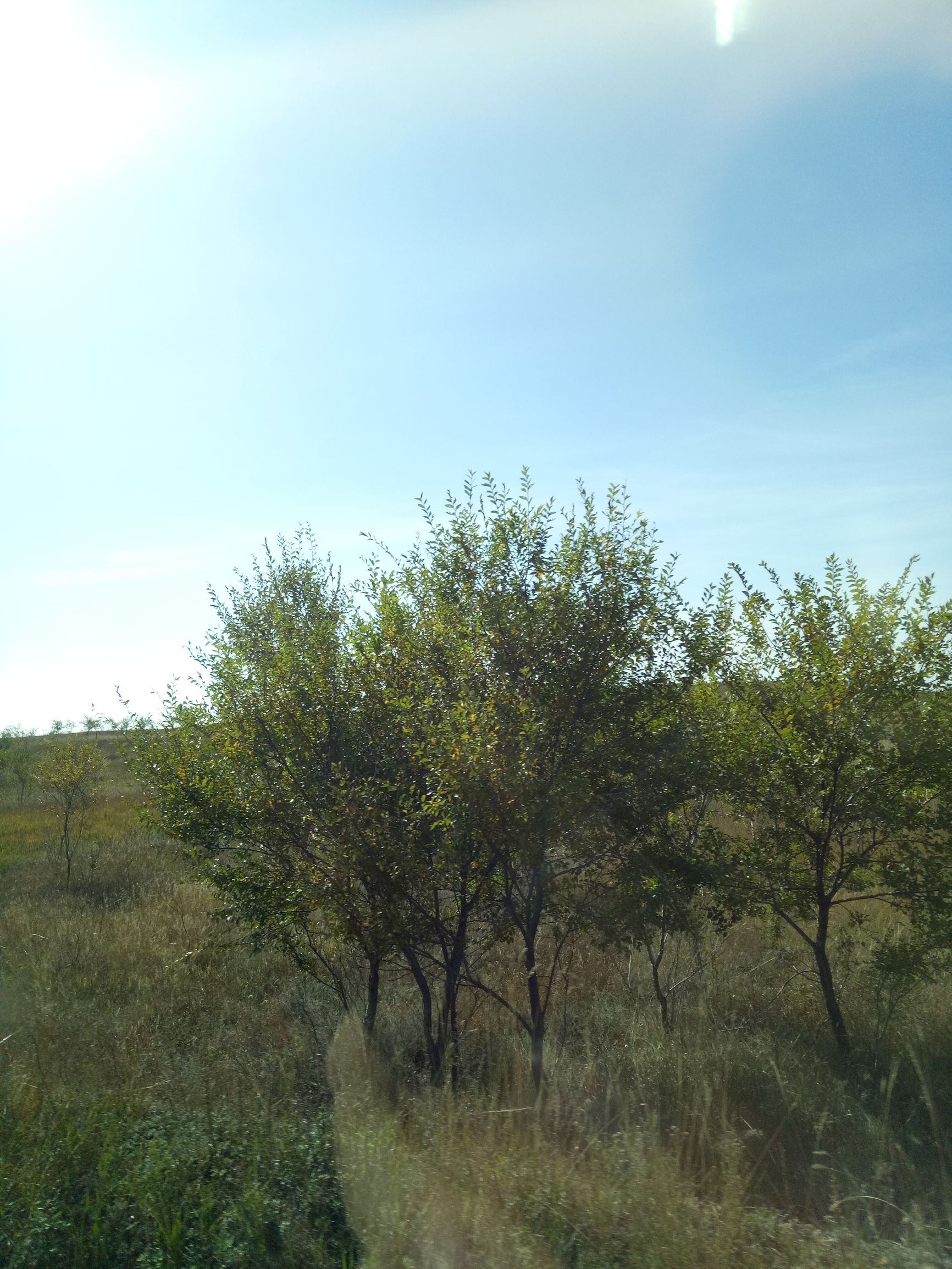 张北天路行,深度还原张北天路