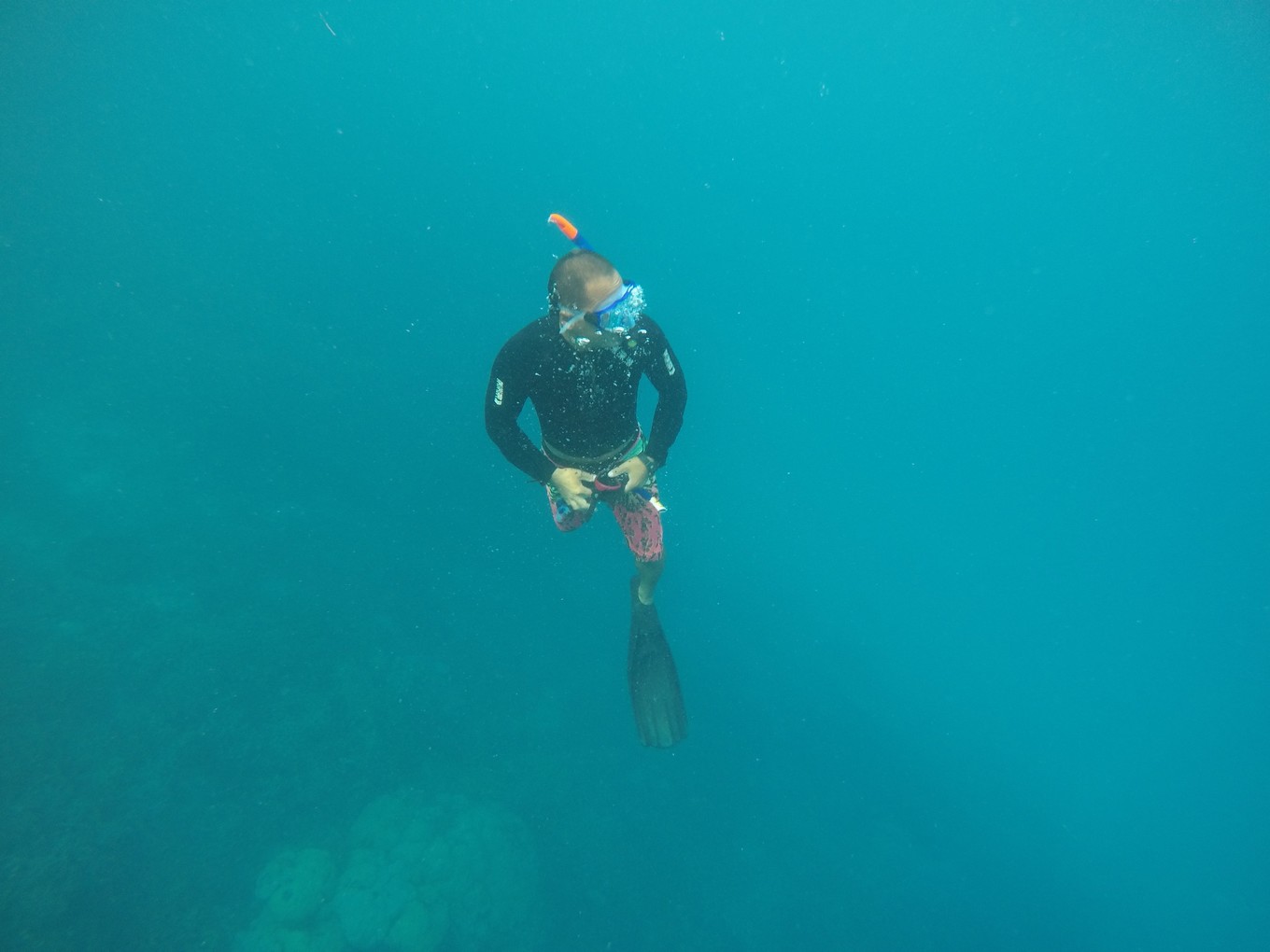 帕劳旅行攻略大全图文,帕劳旅行攻略图文大全