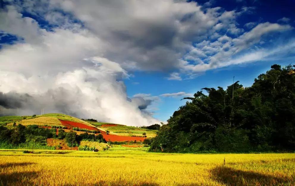 深圳去昆明选哪趟高铁风景好,深圳至昆明高铁沿途风景