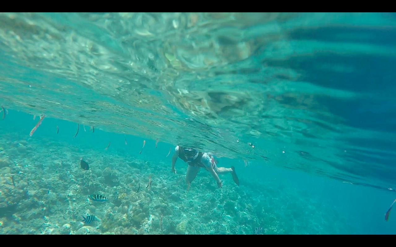 帕劳旅行攻略大全图文,帕劳旅行攻略图文大全