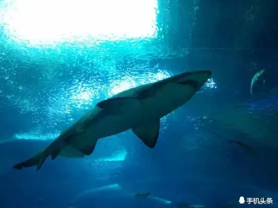 千元玩转趣拍，小辣椒S35上手体验