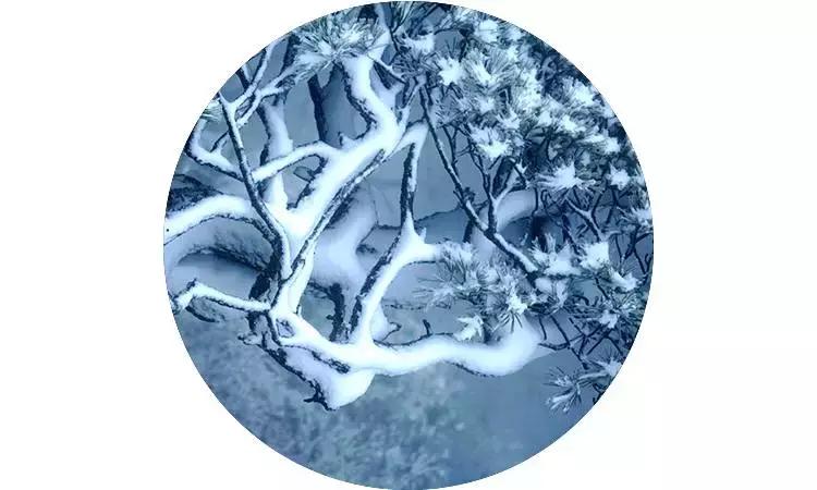 任尔东西南北风全诗隶书作品,任尔东西南北风上一句是啥