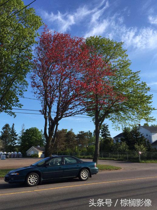 鐖卞痉鍗庣帇瀛愬矝鏈夋病鏈夊畨濡繖涓汉,鐖卞痉鍗庣帇瀛愬矝瀹夊Ξ灏忓眿鍦板潃