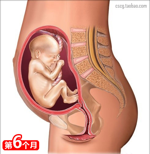 什么食物会导致先兆流产,18种吃胎现象及解决办法