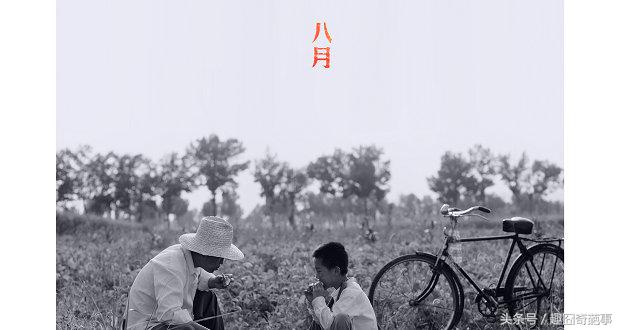 金马奖冯小刚,金马奖最佳导演冯小刚